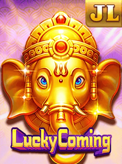 IPL cricket match cover